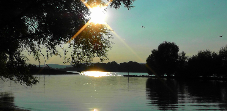 Rhine wasser