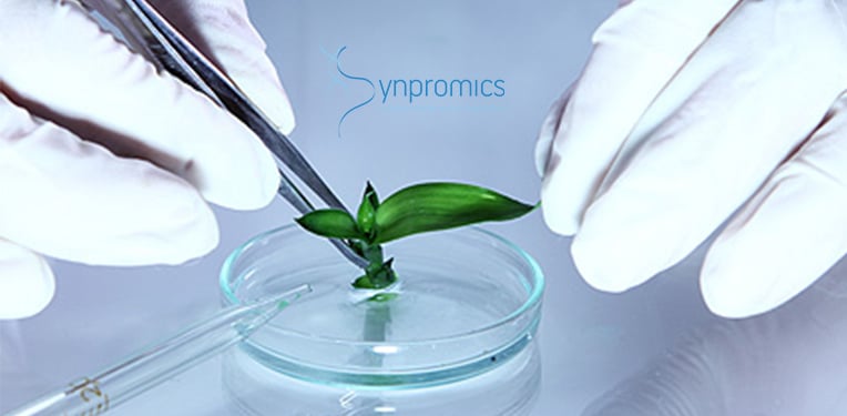 Synpromics