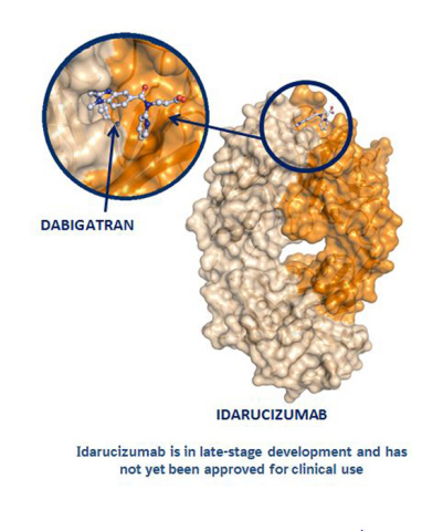 Idarucizumab_and_dabigatran