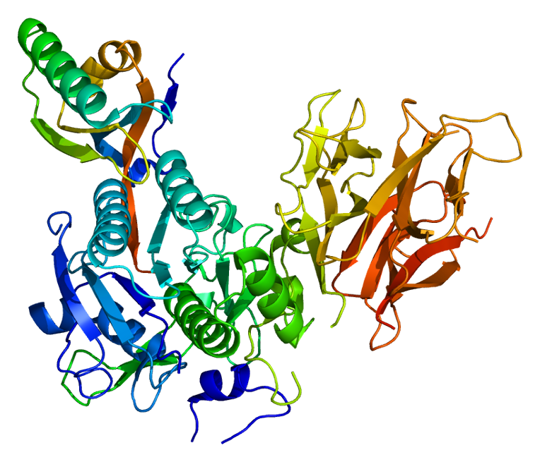 Protein_PCSK9_PDB_2p4e