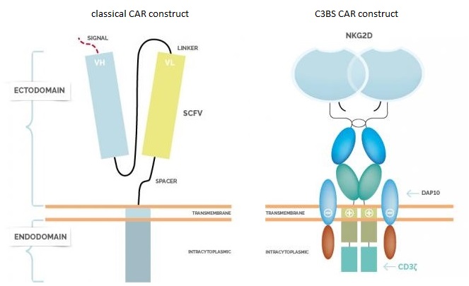 CAR technology using natural killer cells receptors. Source: Cardio3 Biosciences