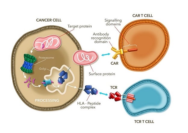 Adaptimmune