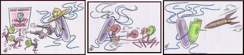 Source: The Qimron lab