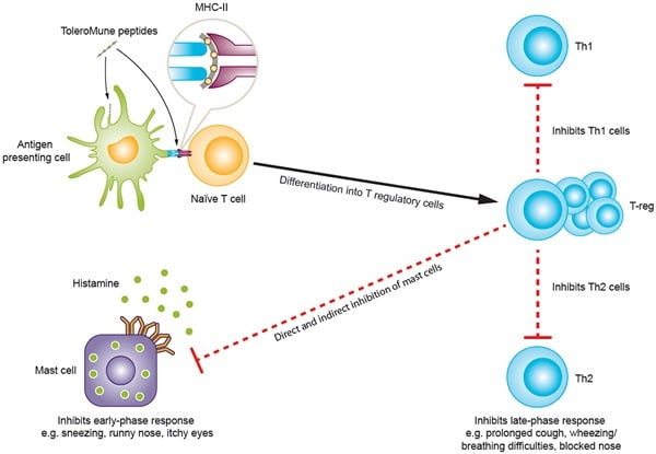 toleromune circassia allergy immunotherapy short