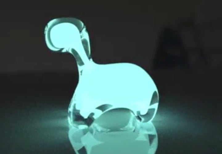 dinopet_yonder_biology_biolumescent