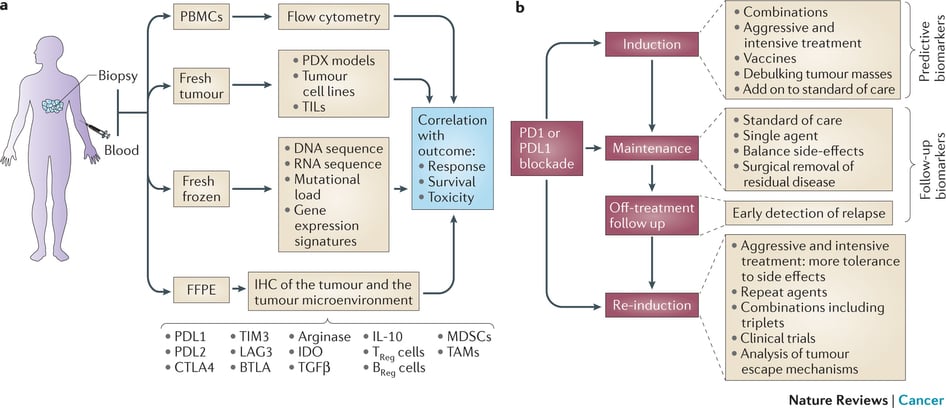 biomarkers_immunooncology_pdl1_cancer_tissue_samples_biopsy