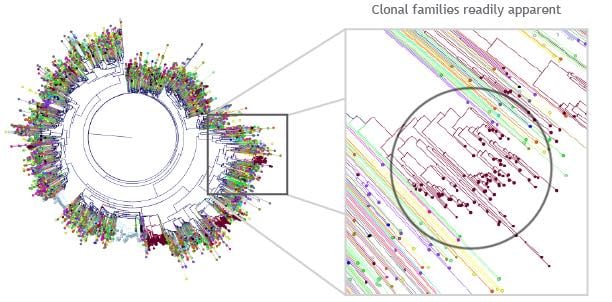 helicopter_view_lymphocytes