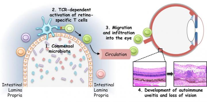 microbiome_blindness