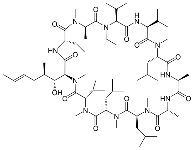 Alisporovir inhibits Cyclophilin A. (Source: Yikrazuul)