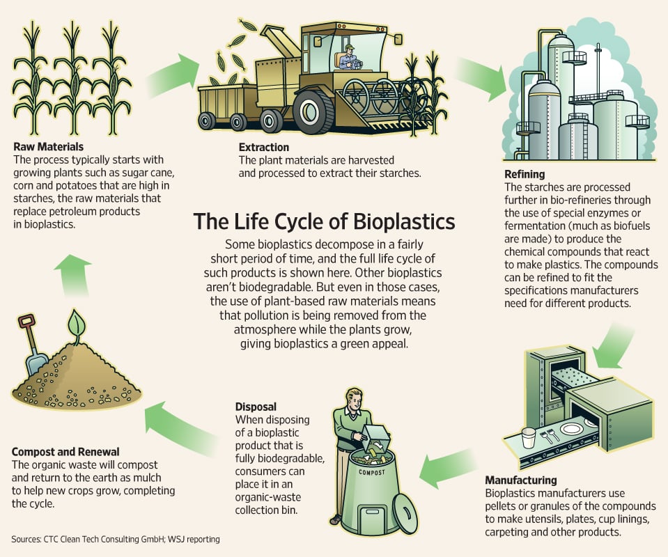 Lifecycle of a generic bio plastic (Source: Figure 2. from Journal of Polymer and Biopolymer Physics Chemistry. 2014, 2(4). )