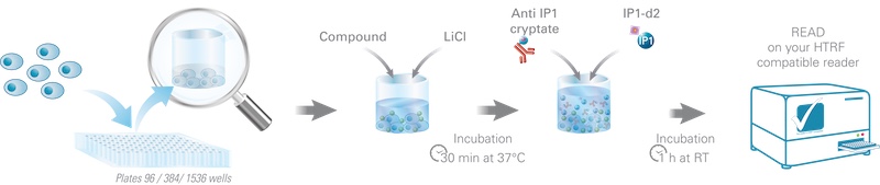 IPone assay principle_assay-principle_assay-principle_assay-principle