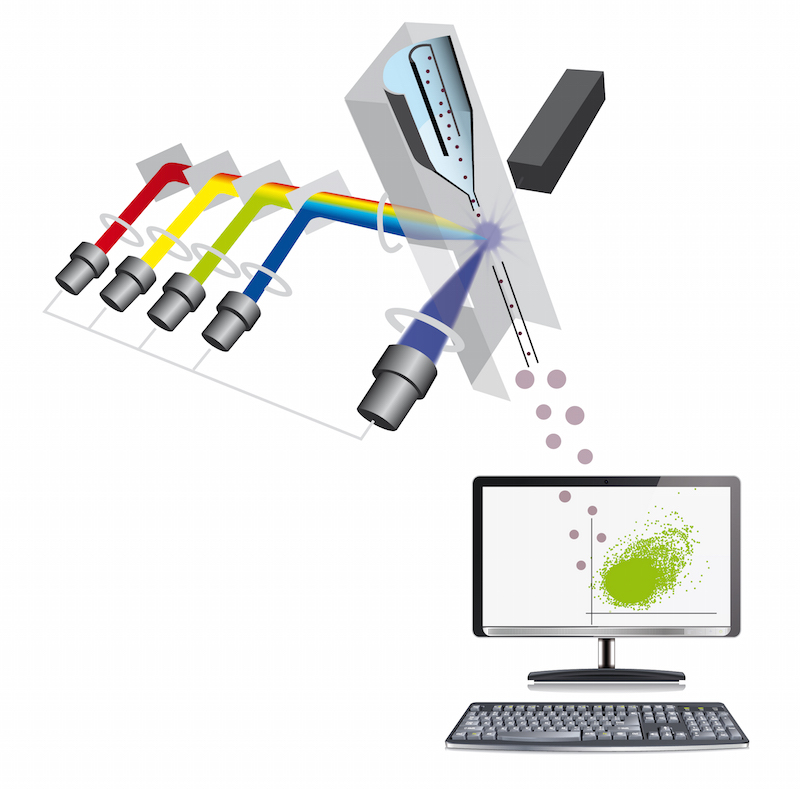 cytometry FRET in FLOW