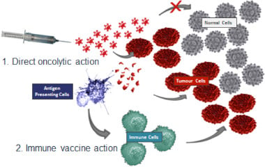 Action of Enadenotucirev (EnAd) Candidare from PsiOxus (Source: PsiOxus)