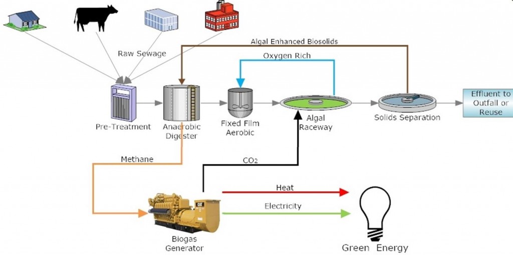 Aquanos_algae_biotech_scrubbing_water_remediation