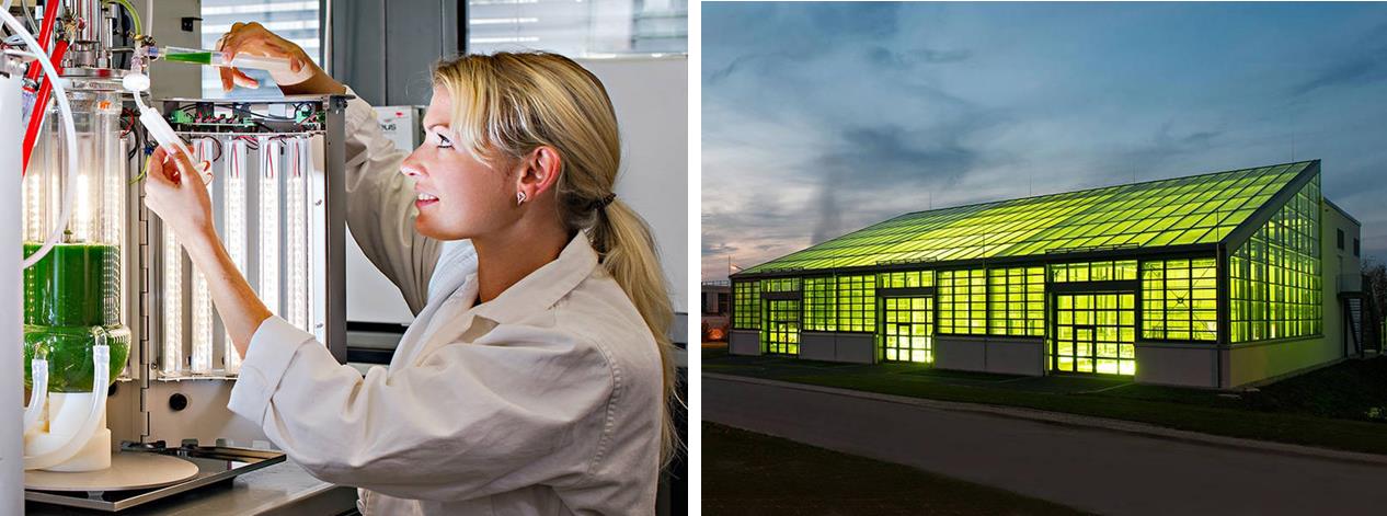 Student Olga Shostak at the LED-bioreactor (Source: Andreas Heddergott / TUM)