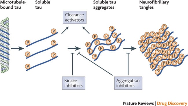 Tau aggregation inhibitors