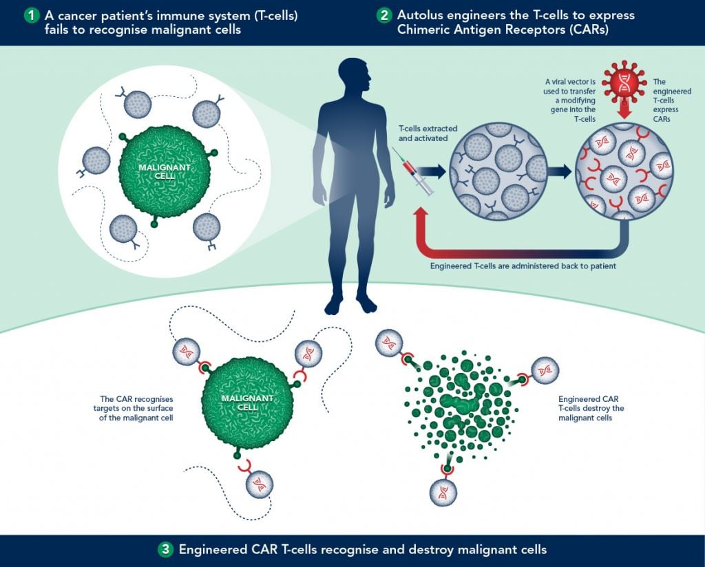 Infographic overview of how CAR-T Therapy works (Source: Autolus)