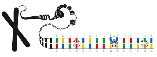 dna_repairing_nobel_prize