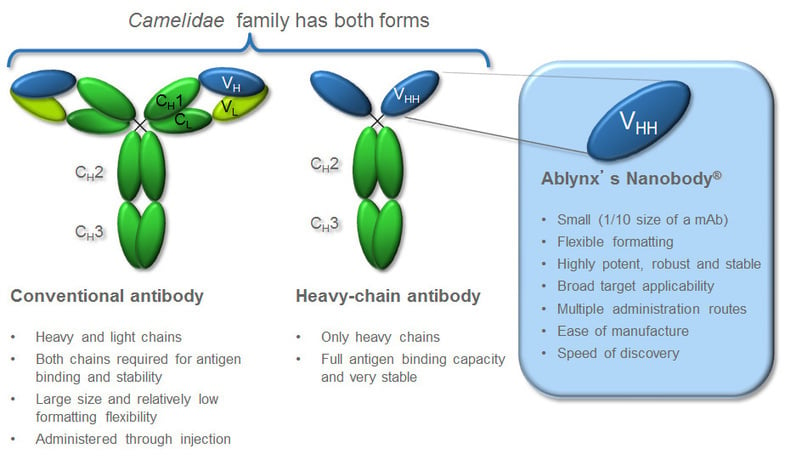 The Ablynx Nanobody platform is derived from Camelidae (Alpaca) anti-bodies The Ablynx Nanobody platform is developed from Camelidae (Alpaca) anti-bodies (Source: Ablynx)