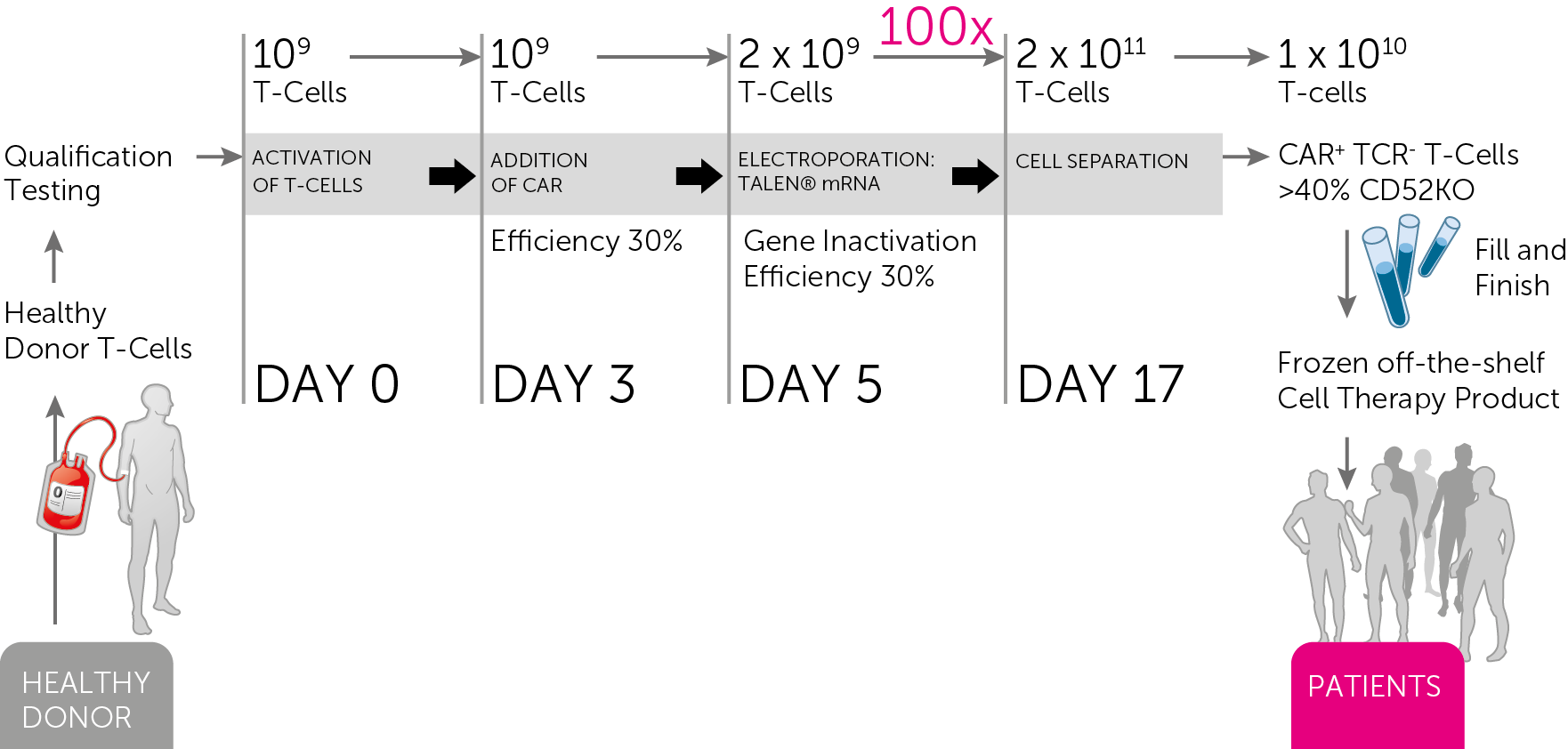 The UCART Manufacturing Process (Source: Cellectis)