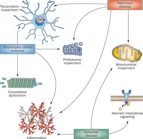 Gene cross-over in Neurodegenerative disease is poorly understood in Parkinson's, Alzheimer's and