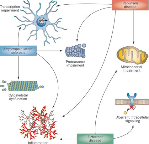 Gene cross-over in Neurodegenerative disease is poorly understood in Parkinson's, Alzheimer's and 