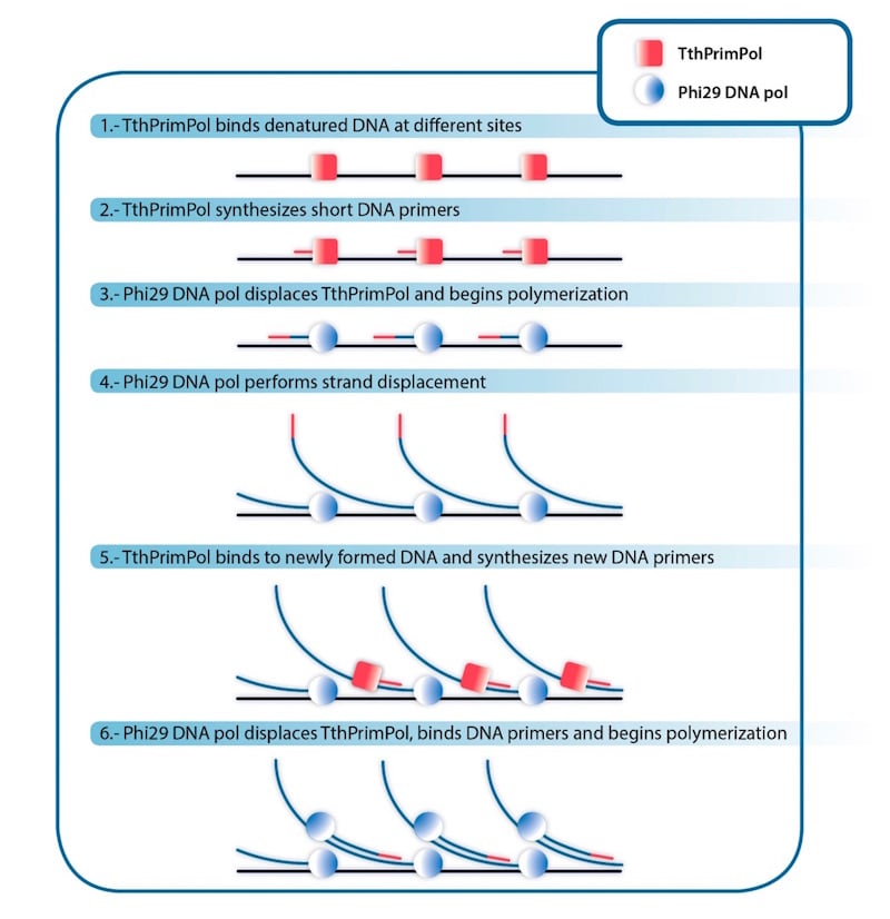 TruePrime personalized medicine next generation sequencing