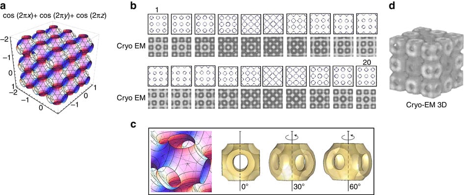 cubosomes_cryo_lausanne_epfl_nestle