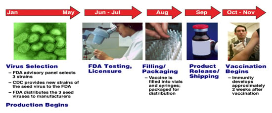 easonal Influenza Vaccine Production Timeline