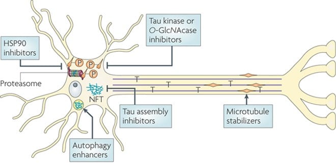 tau_tangle_drugs_cns