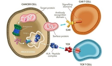 tcr_nsclc_adaptimmune_trial