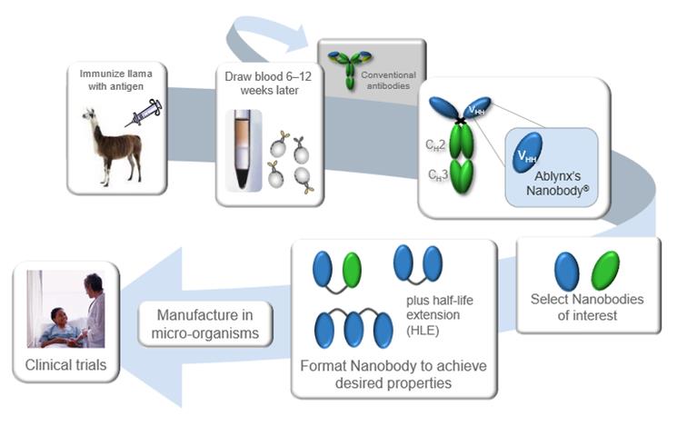 ablynx_nanobody_llama_rsv_infant_trial_manufacturing.jpg