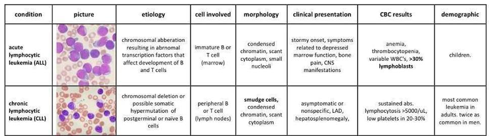 all_cll_leukemia_blincyto_bispecific_antibody_amgen