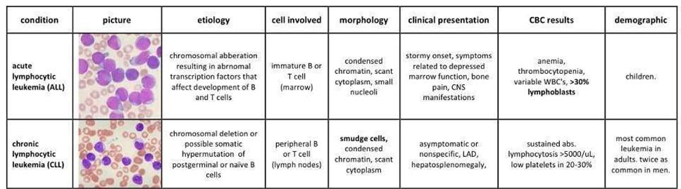 all_cll_leukemia_blincyto_bispecific_antibody_amgen