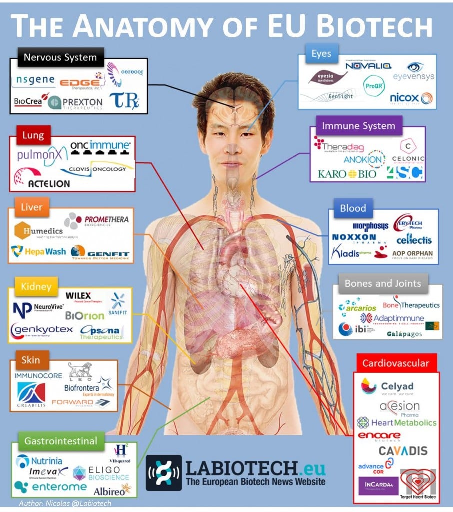 anatomy biotech infographic