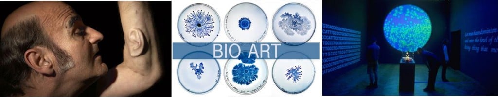 bioart_eduardo_kac_biotech