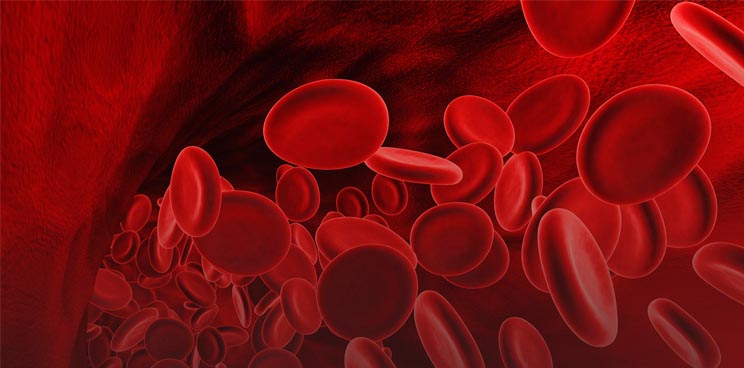 blood cells transport drugs rubius therapeutics flagship erytech pku