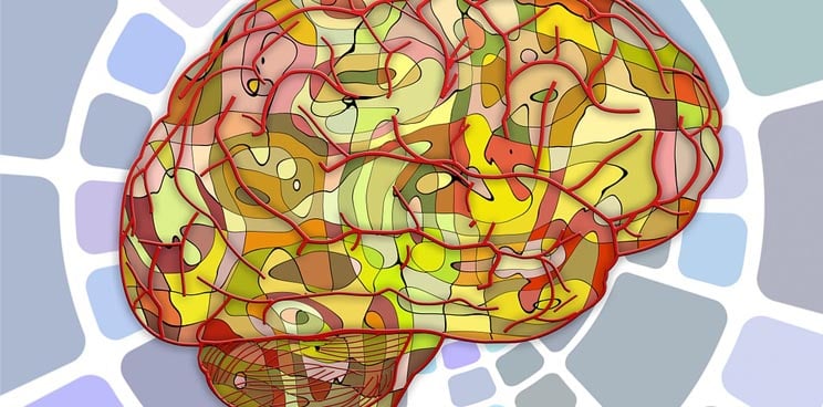 brains imba cerebral organoids neurological disease