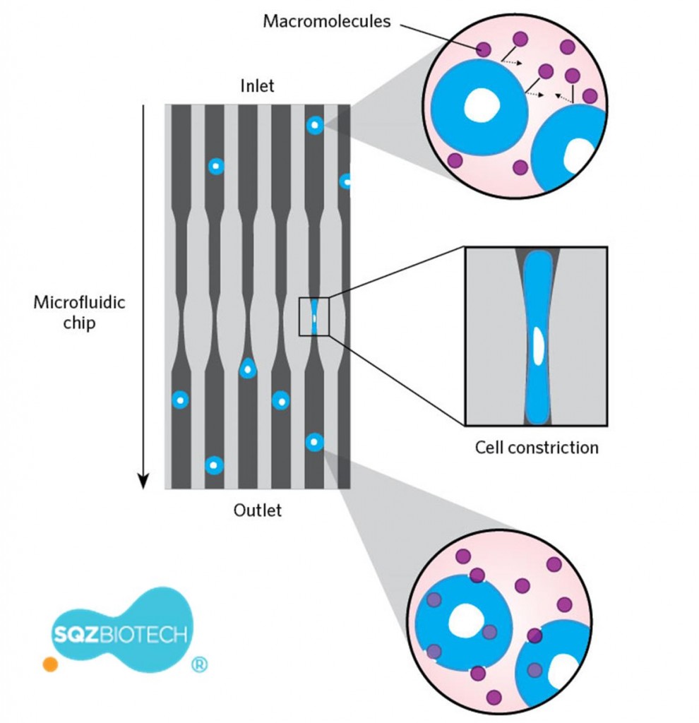 cellsqueeze_SQZ_roche_drug_delivery_chemo_cell