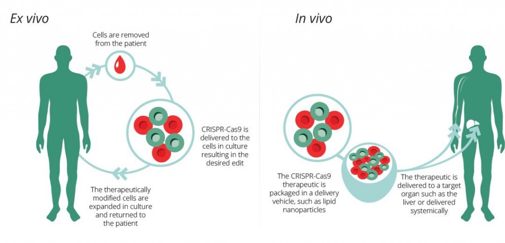 gene_editing_crispr_bayer_joint_venture