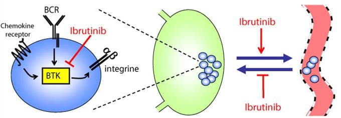 biotech_ibrutinib_cll_leukemia_acerta_astrazeneca