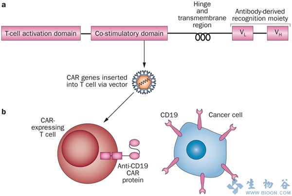 leukemia_cart_cd19_ctl019_novartis