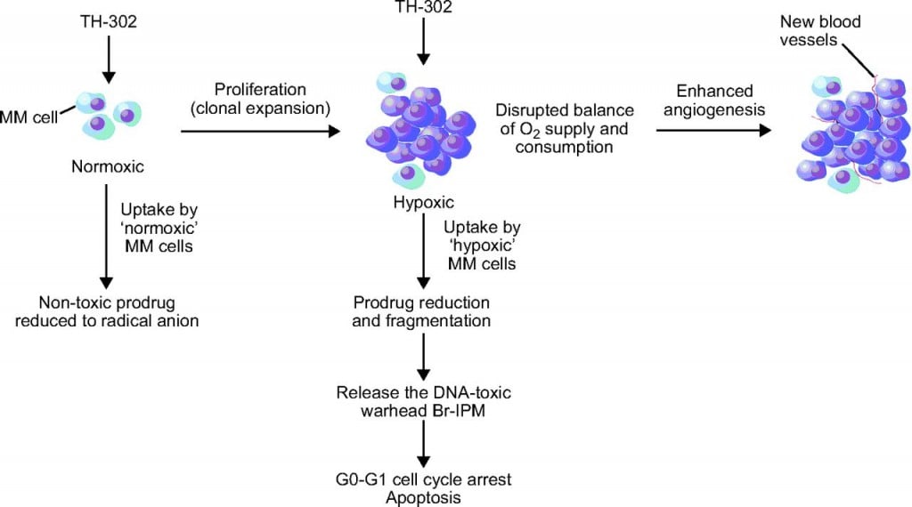 merck_hypoxia_threshold_evofosfamide_cancer