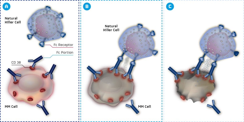 morphosys_multiple_myeloma_mor202