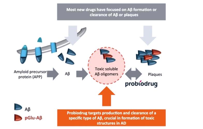 probiodrug_alzheimer_disease_saphir_plaque_dementia