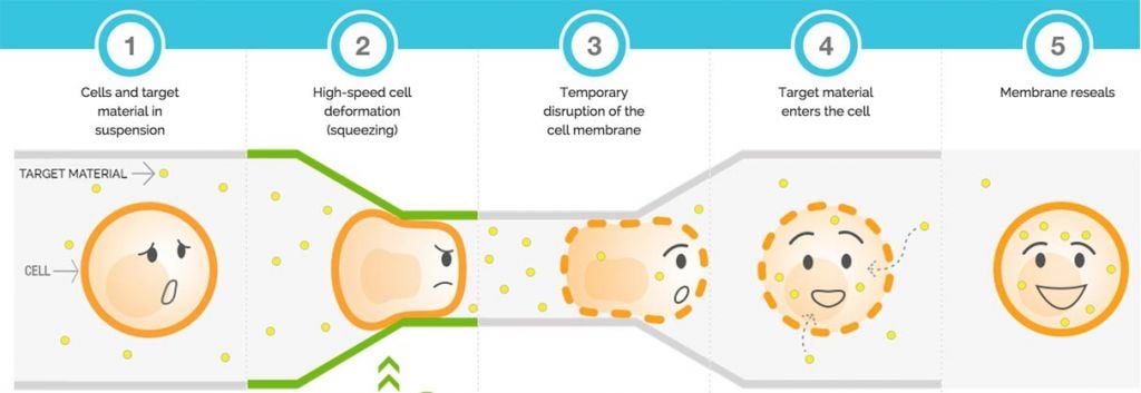 roche cellsqueeze sqz cell therapies Cancer