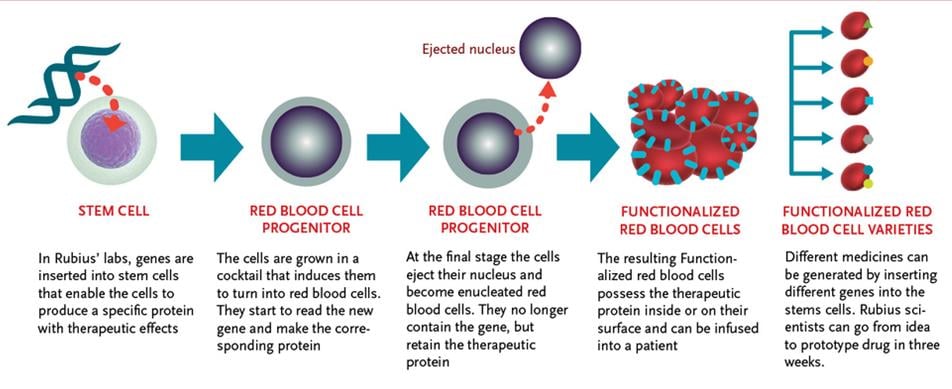 rubius_red_blood_Cells_flagship_venturelabs_rcts_pku