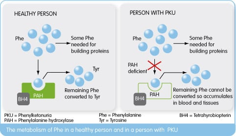 rubius_therapeutics_pku_red_blood_cells