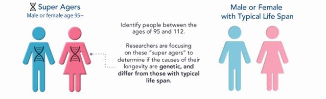 aging longevity einstein ny genes genomics study