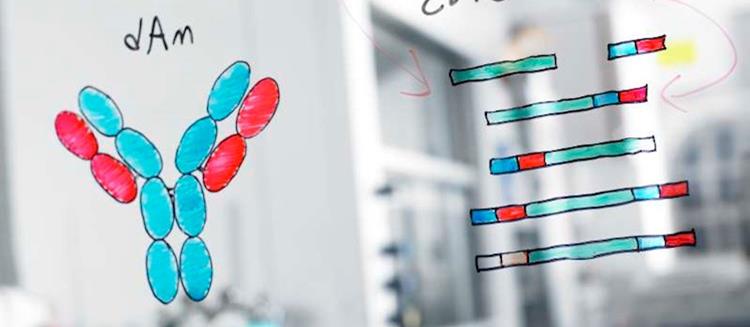 albumedix_albumin_novozmes_synbio_denmark_nottingham_subsidiary_veltis